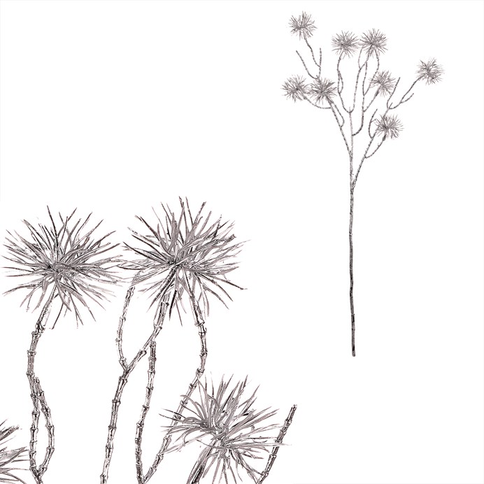 Bodliak - umelá vetva, farba strieborná