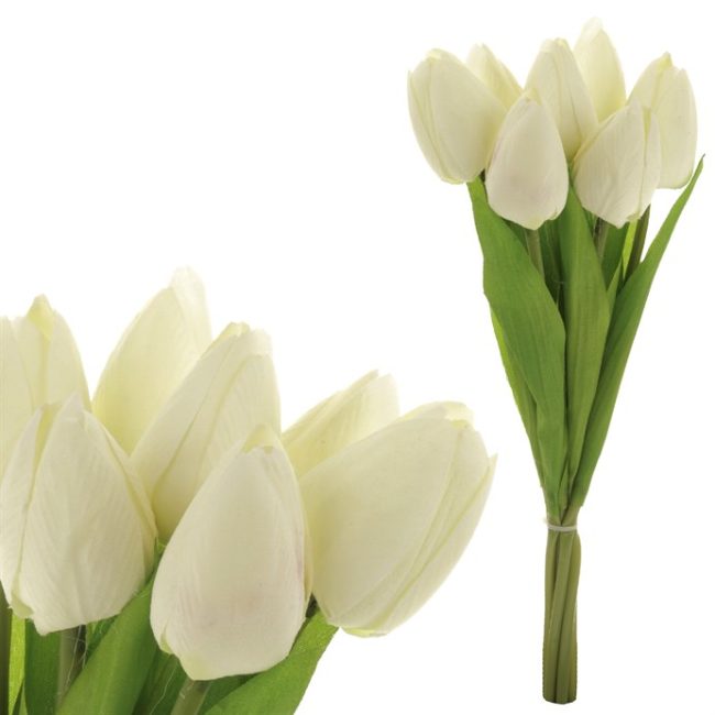 Puget tulipánů, 7 květů, barva krémová.