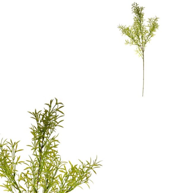 Asparagus - umelá vetva, farba zelená