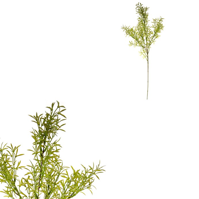 Asparagus - umelá vetva, farba zelená